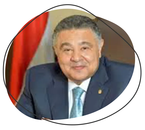 Major General Amr Hanafy